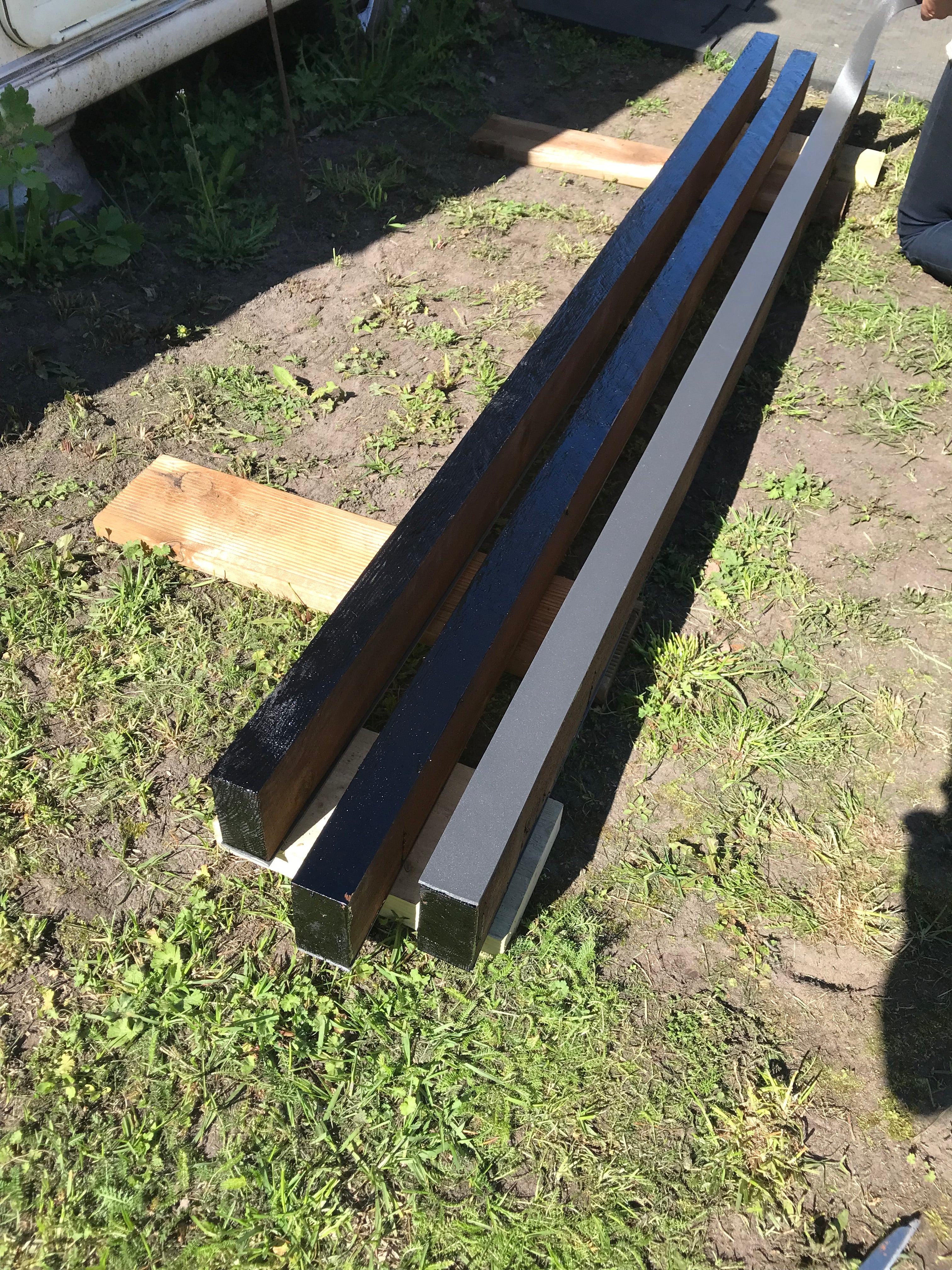 beamsl on a grassy ground